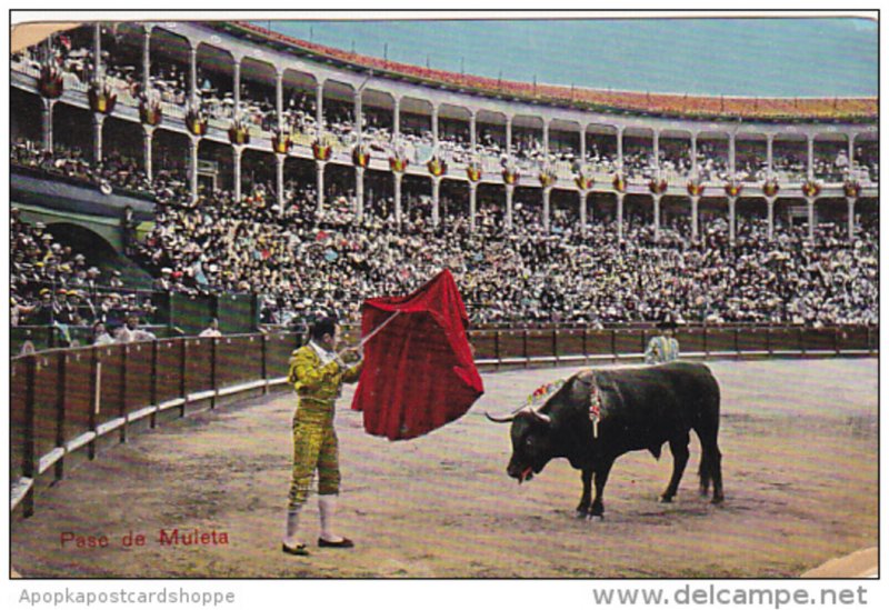Bull Fight Pase de Muleta Curteich