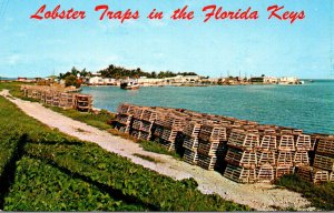 Florida Keys Conch Key Lobster Traps