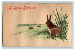 C.1905 Brown Easter Rabbits Bunnies Anthropomorphic Lot of 6 Postcards P2 