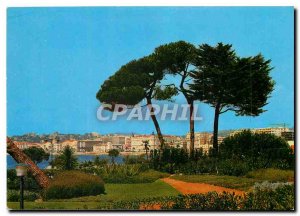 Modern Postcard Cannes General view taken from the Gardens of Palm Beach