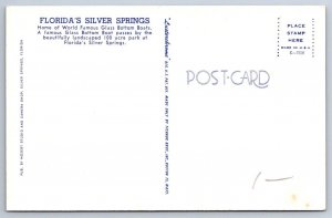 Glass Bottom Boat, Silver Springs, Ocala, Florida FL, Vintage Chrome Postcard #1