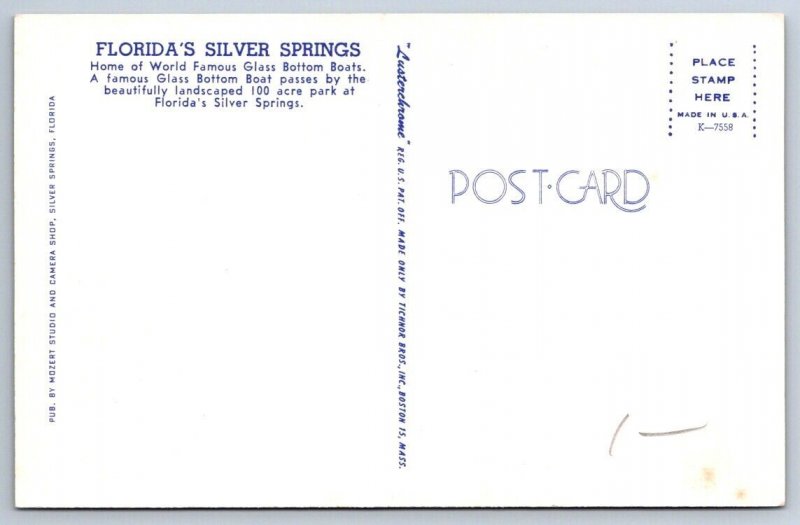 Glass Bottom Boat, Silver Springs, Ocala, Florida FL, Vintage Chrome Postcard #1