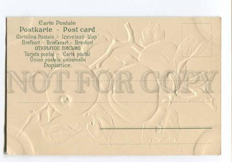 256915 C. KLEIN Apple on Tree Vintage EMBOSSED postcard