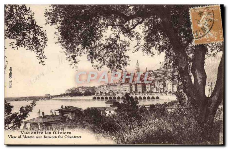 Old Postcard Menton View From Les Oliviers