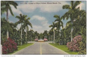 Florida Miami Beach Lanes Of Royal Palms Curteich