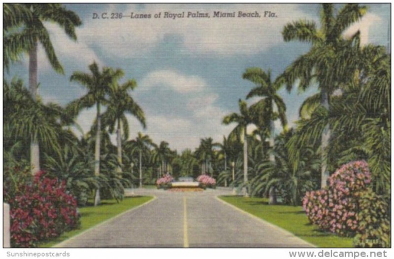 Florida Miami Beach Lanes Of Royal Palms Curteich