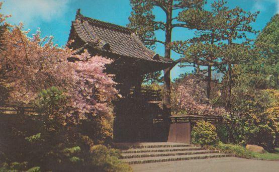 Oriental Tea Garden San Fransisco Postcard