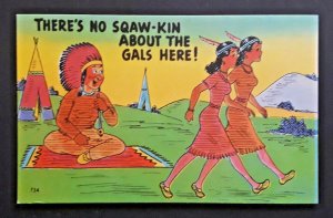 Mint Vintage American Indian No Sqaw-Kin Color Comic Picture Postcard