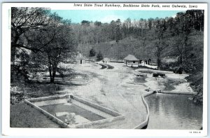 c1910s Oelwein, IA Iowa State Trout Hatchery Backbone State Park Postcard A119