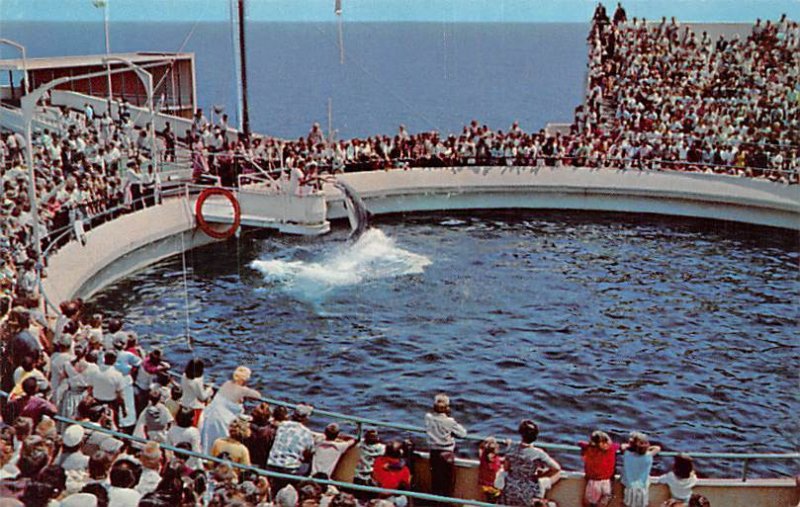 Marineland of the Pacific Palos Verdes California  