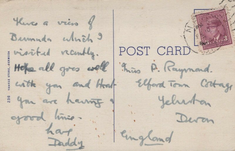 Bermuda Pink Beach Linen Postcard 04.02