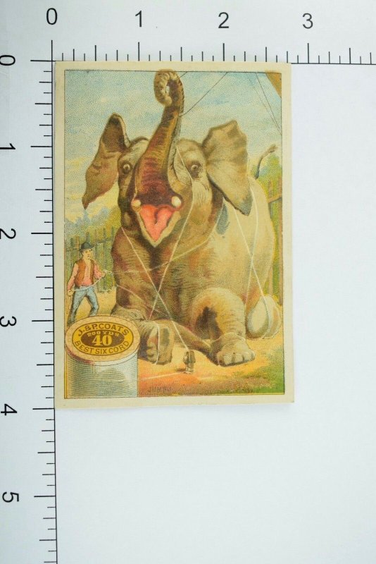 1870's-80's Jumbo Elephant J. & P. Coats Best Six Cord Victorian Trade Card P59 