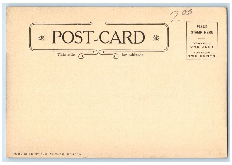 c1905 Elm Street Building Tower Dirt Road Lined Trees Northampton MA Postcard 