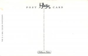 UK England Devon Torquay illuminations Torre Abbey Gardens