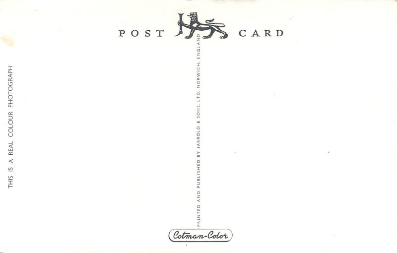 UK England Devon Torquay illuminations Torre Abbey Gardens