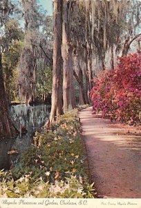 Magnolia Plantation Gardens Charleston, South Carolina