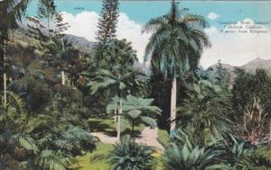 Jamaica Greetings Showing Castleton Gardens