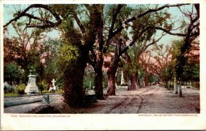 Vtg Savannah Georgia GA Bonaventure Cemetery 1901 Detroit Publishing Postcard