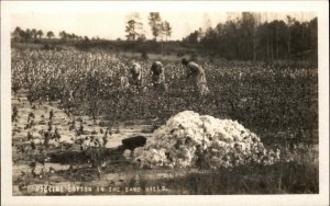 Pinehurst? NC Sand Hills Black Americana c1910s Real Photo Postcard