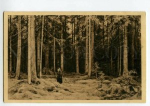 493132 SHISHKIN Hunter in Forest of Countess Mordvinova Vintage Svanstrom RUSSIA