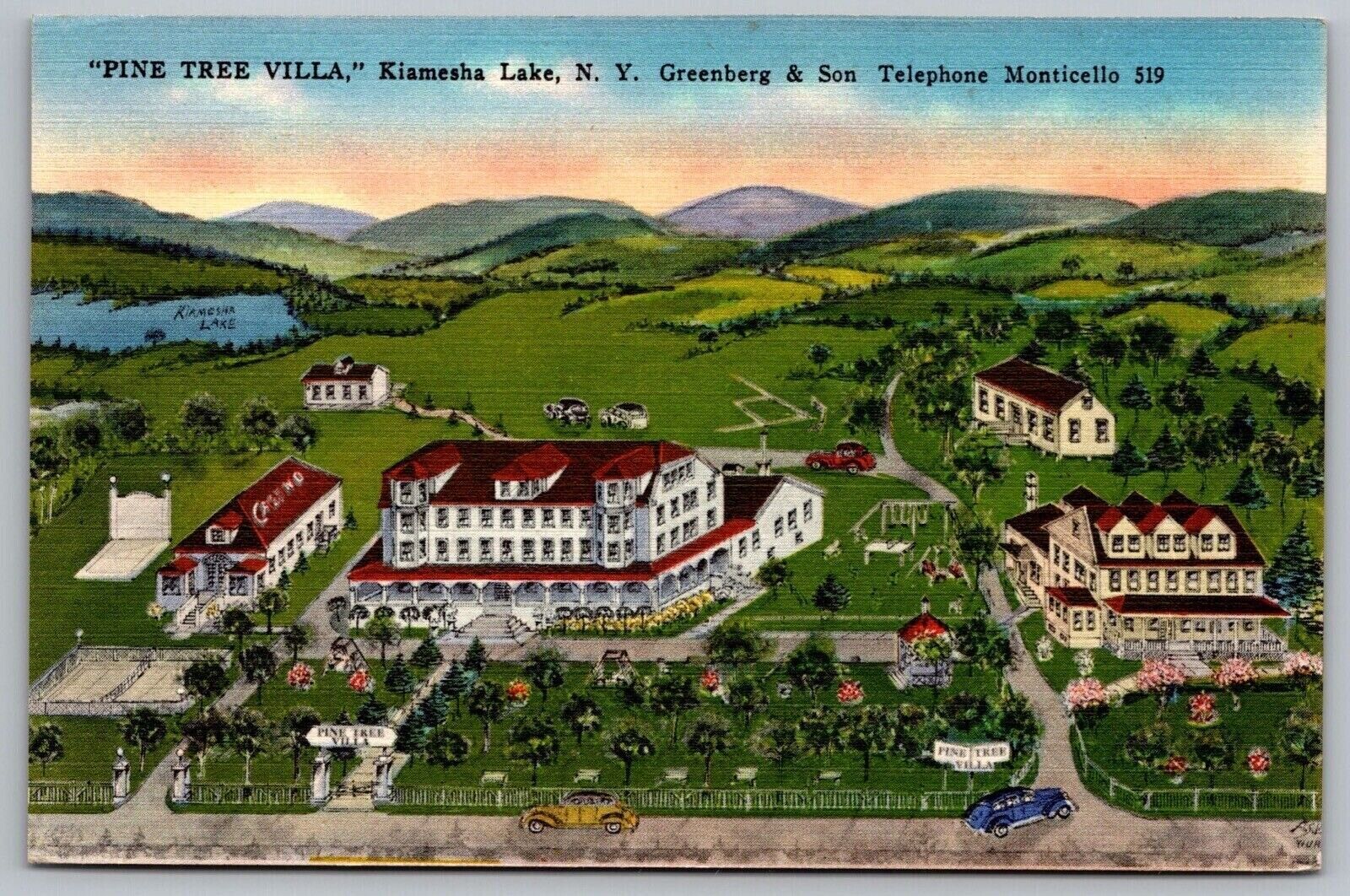 Kiamesha Lake new York Pine Tree Villa Birds Eye View Linen UNP