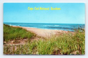 Cape Cod National Seashore Cape Cod MA Massachusetts UNP  Chrome Postcard M7