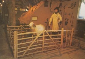 Avebury Wiltshire Horned Ram & Farming Shepherd Barn Waxwork Vintage Postcard