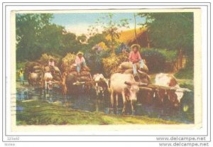 Antiguas Carretas - oxen pulling cart, Mexico, 10-20s