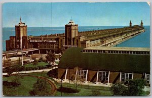 Chicago Illinois 1950s Postcard Navy Pier