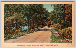 1950-60's GREETINGS FROM MT MOUNT AIRY MARYLAND MD VINTAGE LINEN POSTCARD 46942