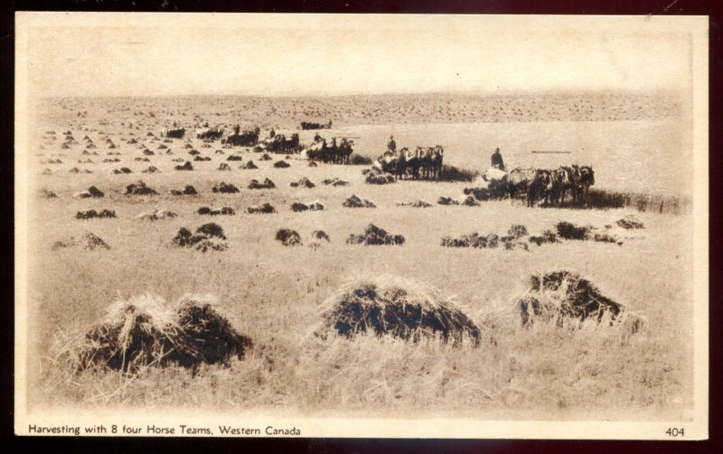 dc1087 - WESTERN CANADA Postcard 1920s Farming Harvesting Horse Teams