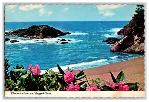 Postcard Continental View Card WA Rhododendrons And Rugged Coast Washington 