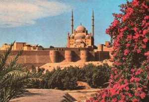 Mohamed Aly Mosque,Cairo,Egypt