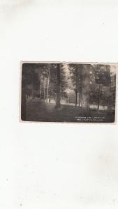 B66 real photo foto weiss  slanic moldova  bacau  romania