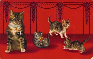 Early German Color Printing, Four Kittens Playing With A Ball, Old Postcard