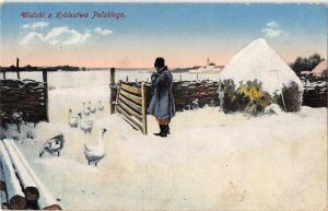 BG19088 widoki z krolestwa poskiego goose poland types folklore