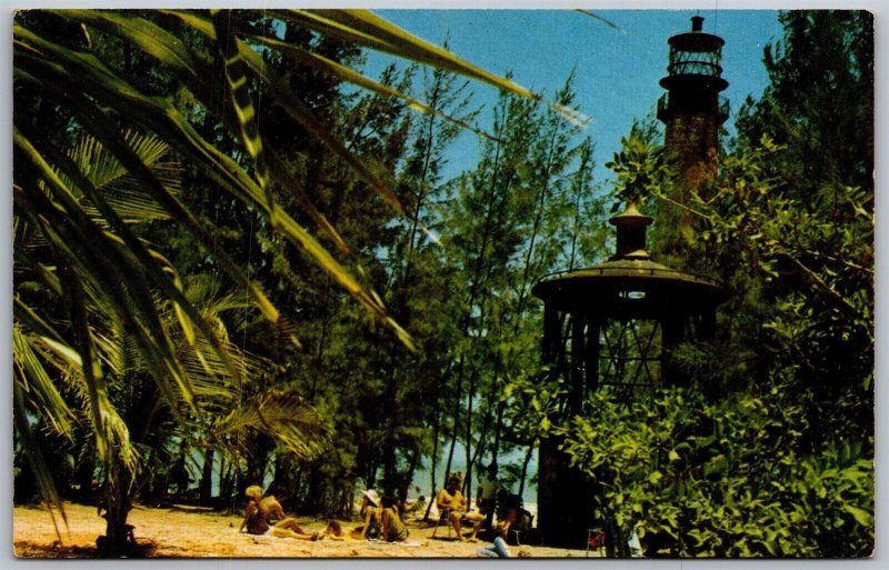 Vtg Key Biscayne Florida FL Cape Florida State Park View Postcard