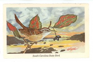 Birds - South Carolina State Bird, Carolina Wren