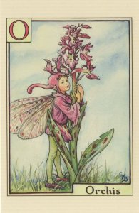 Orchis Fairy Of Flower Fairies Antique Book Stunning Postcard