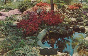 Japanese Rock Gardens - Flowers - Quality Inn - Perry GA, Georgia