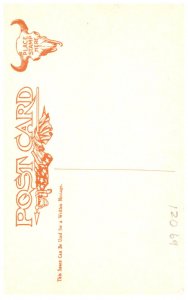 White Man Bear , Cheyenne Indian , Sioux tribe