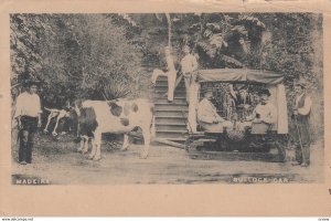 MADEIRA , Portugal , 00-10s ; Bullock Cart