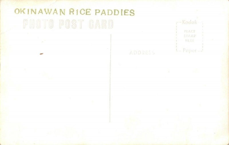 aa 722 Okinawan Japan Rice Patties RPPC 1950-60 Postcard