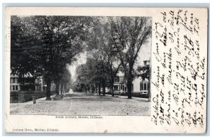 1905 Sixth Avenue Street Trees Scene Moline Illinois IL Posted Vintage Postcard 