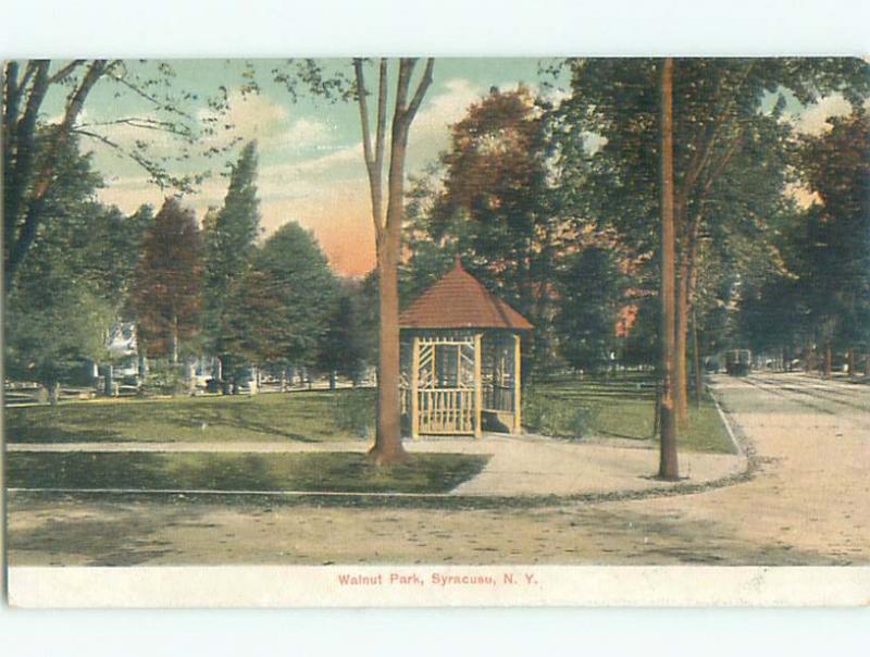 Unused Pre-1907 WALNUT PARK Syracuse New York NY n5278
