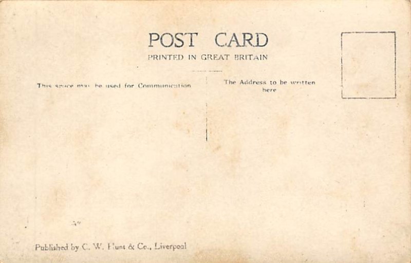 R.M.S. Transylvania, Misc Ships View image 