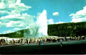 Yellowstone National Park Old Faithful Geyser