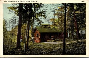 Vtg Polar Caves New Hampshire NH Famous Sugar House 1920s Postcard