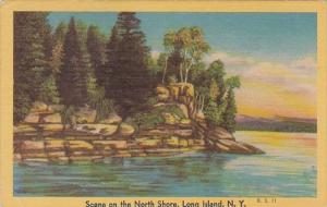 New York Long Island Scene On The North Shore 1956