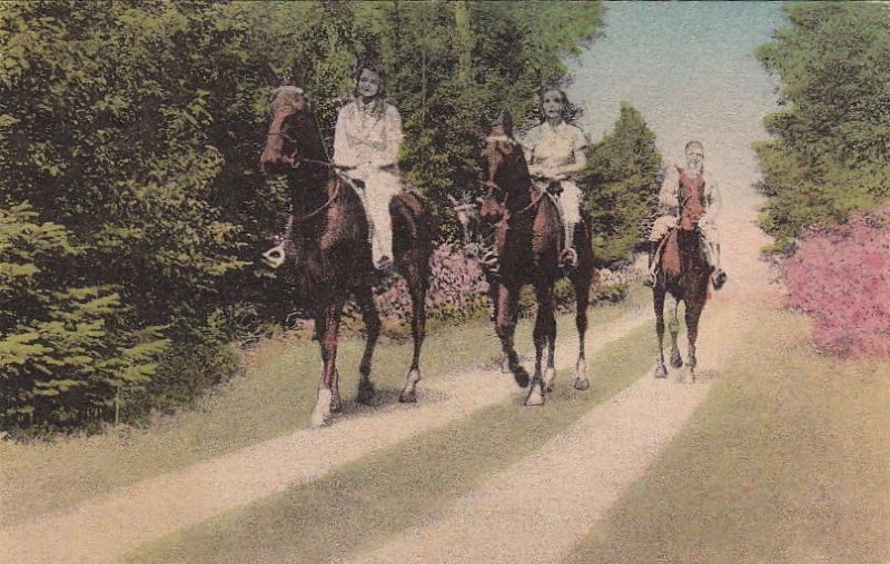 Postcard Horses Morning Ride Pocono Manor Inn Pocono Manor PA